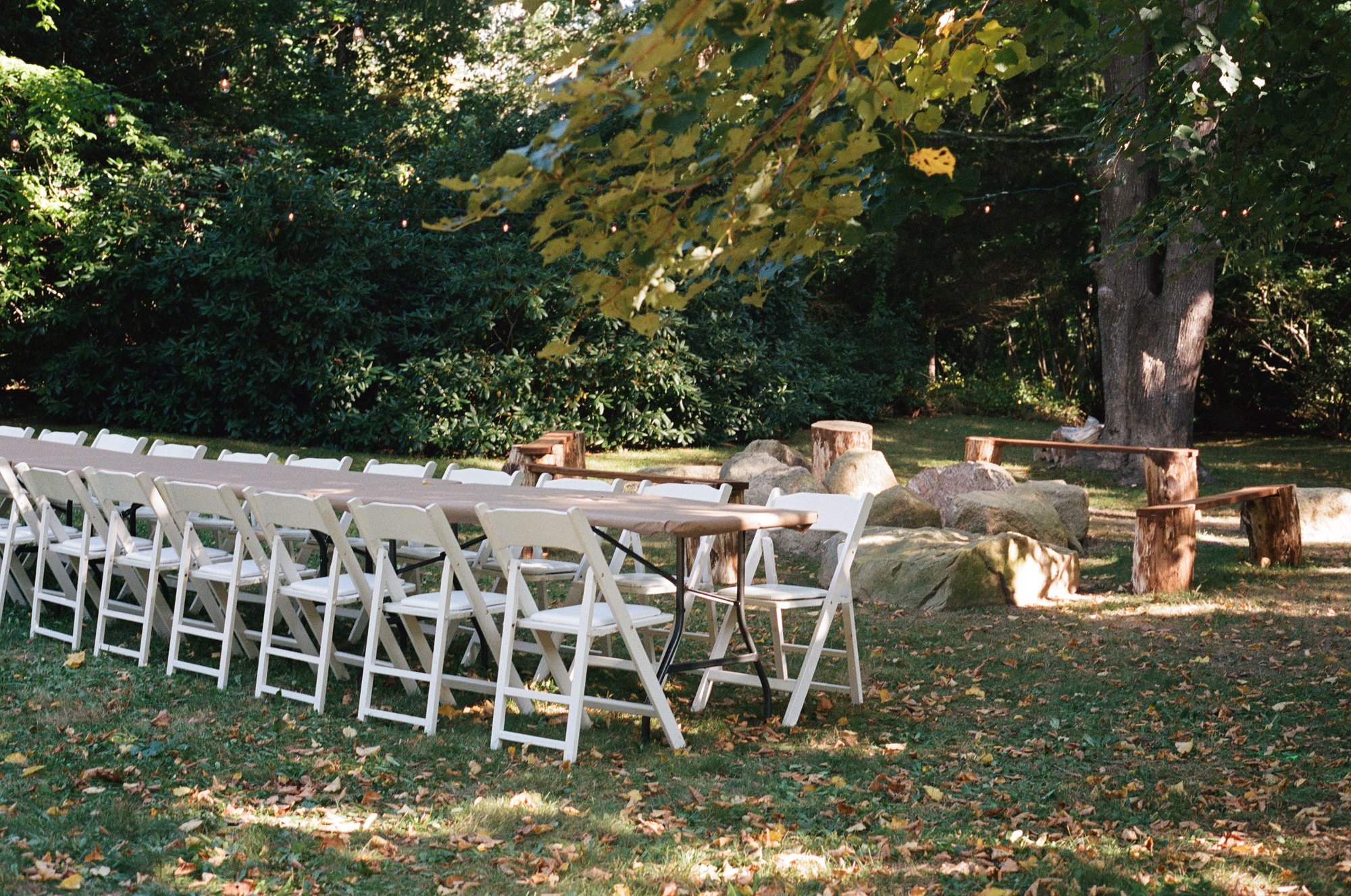 A long table set for dinner beneath the trees